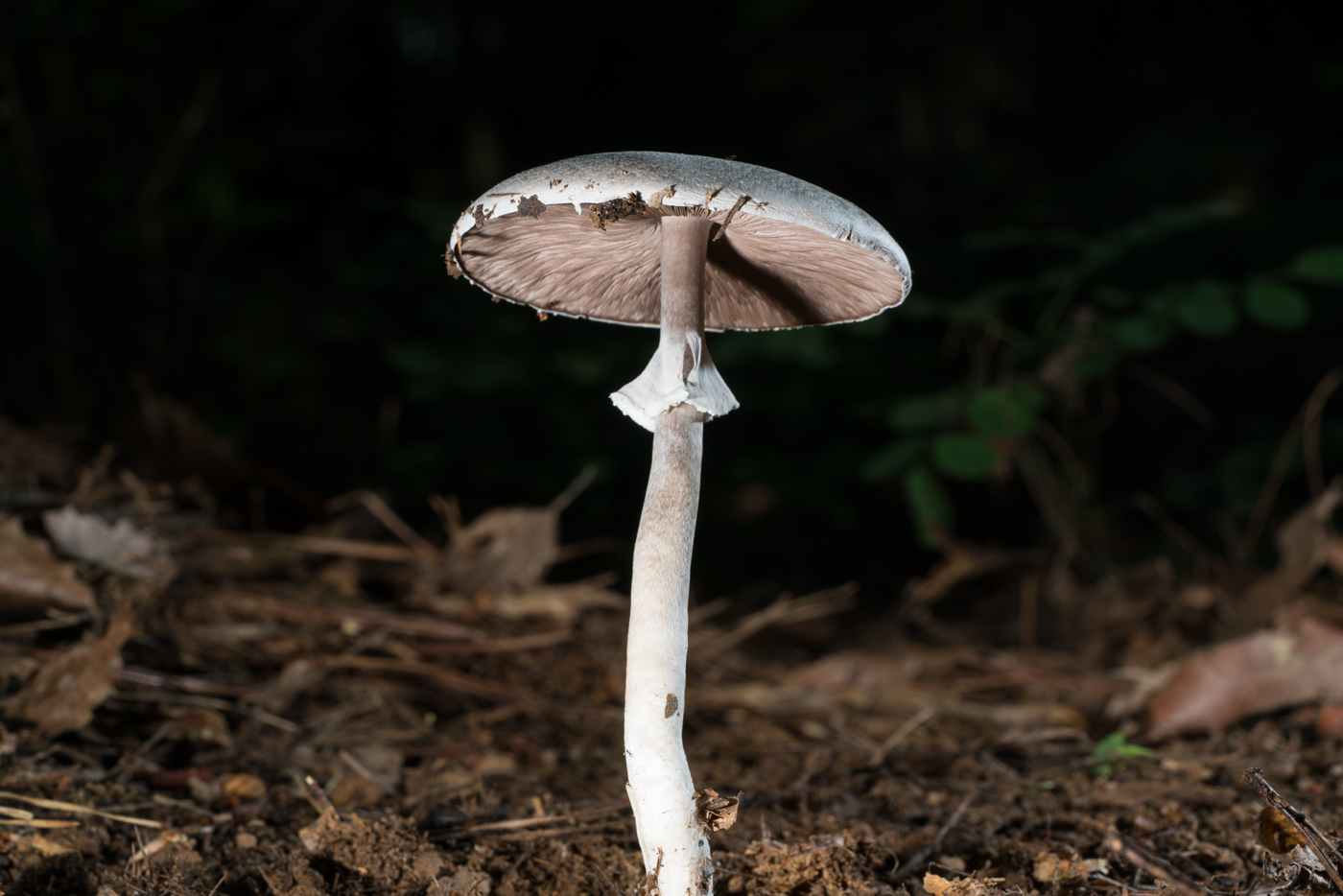 YDY05417.jpg