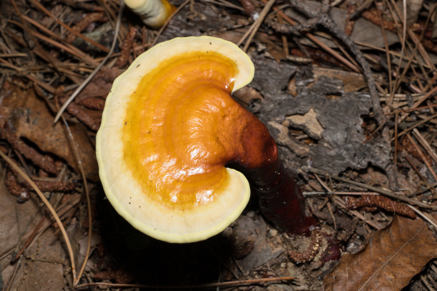 YDY05468.jpg