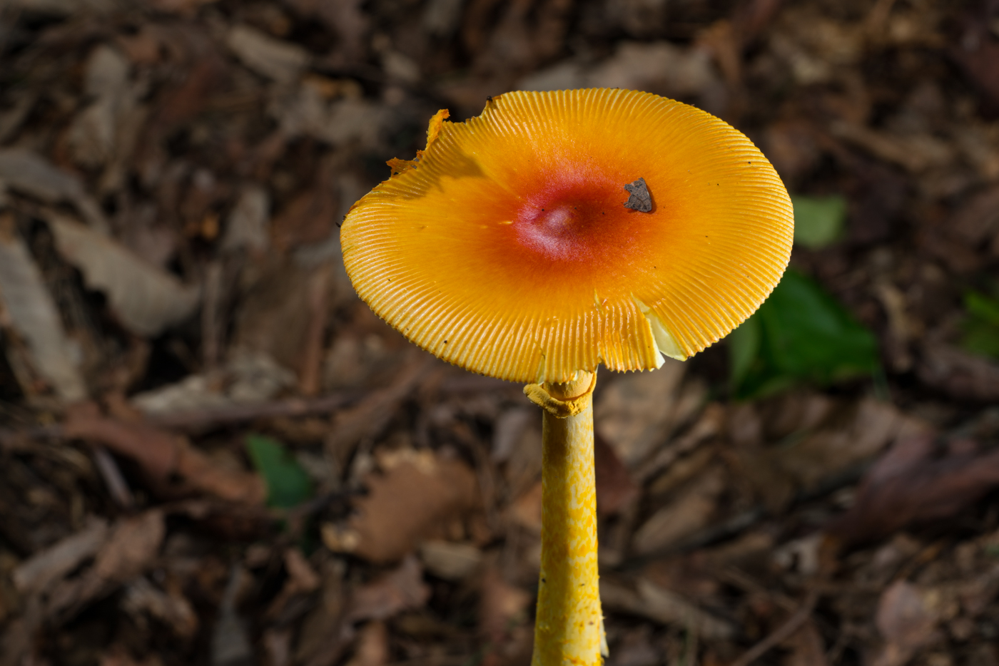 YDY05686.jpg
