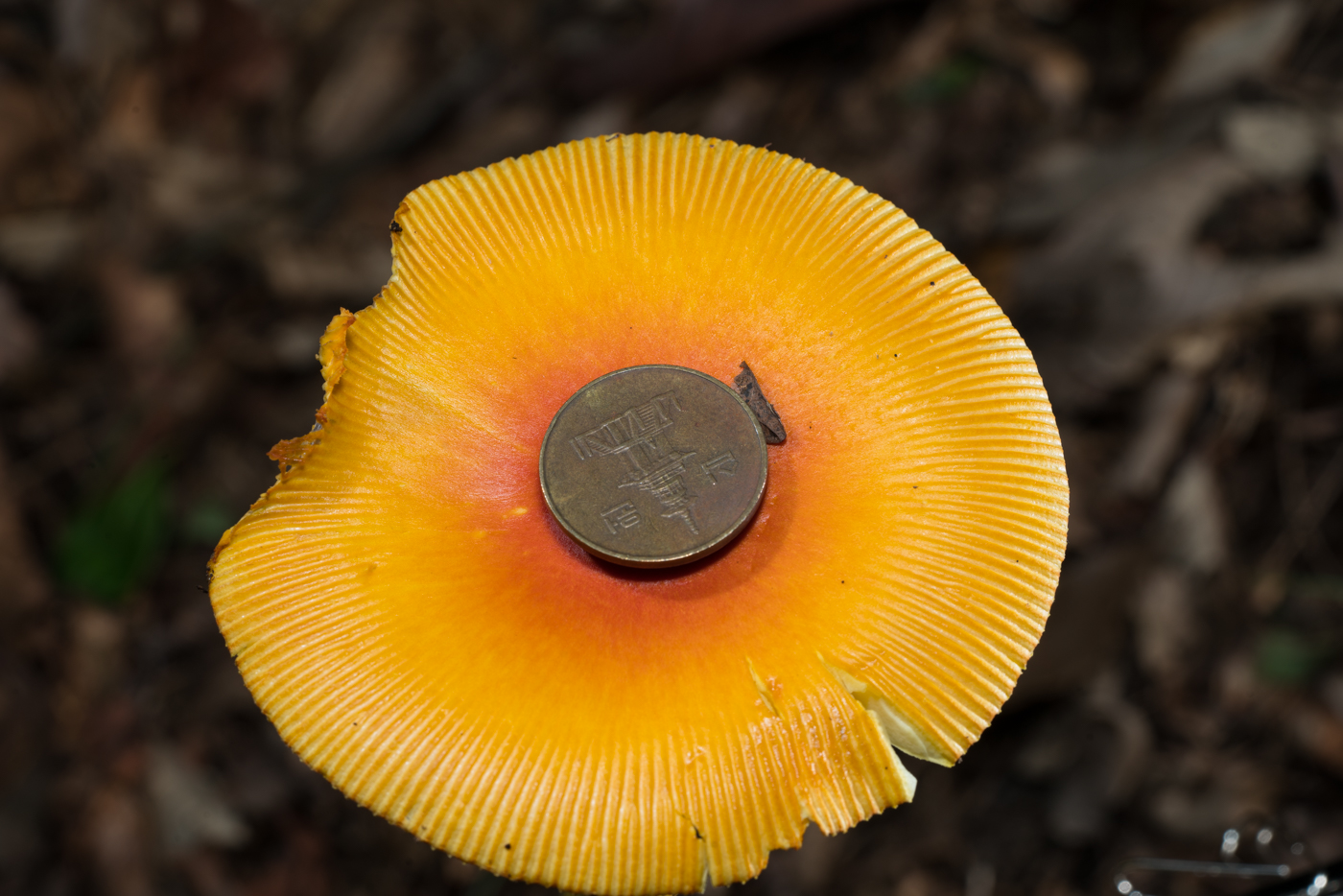 YDY05691.jpg