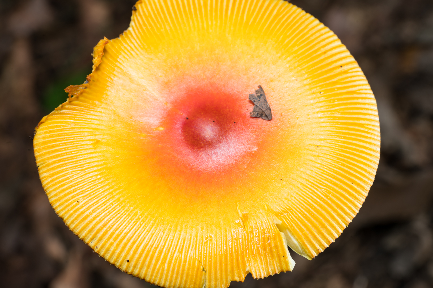 YDY05690.jpg