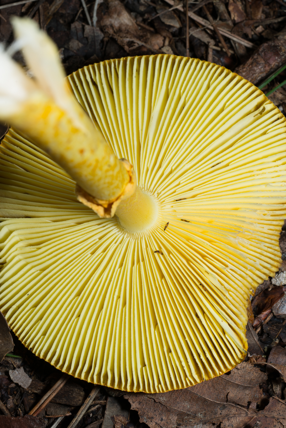 YDY05693.jpg