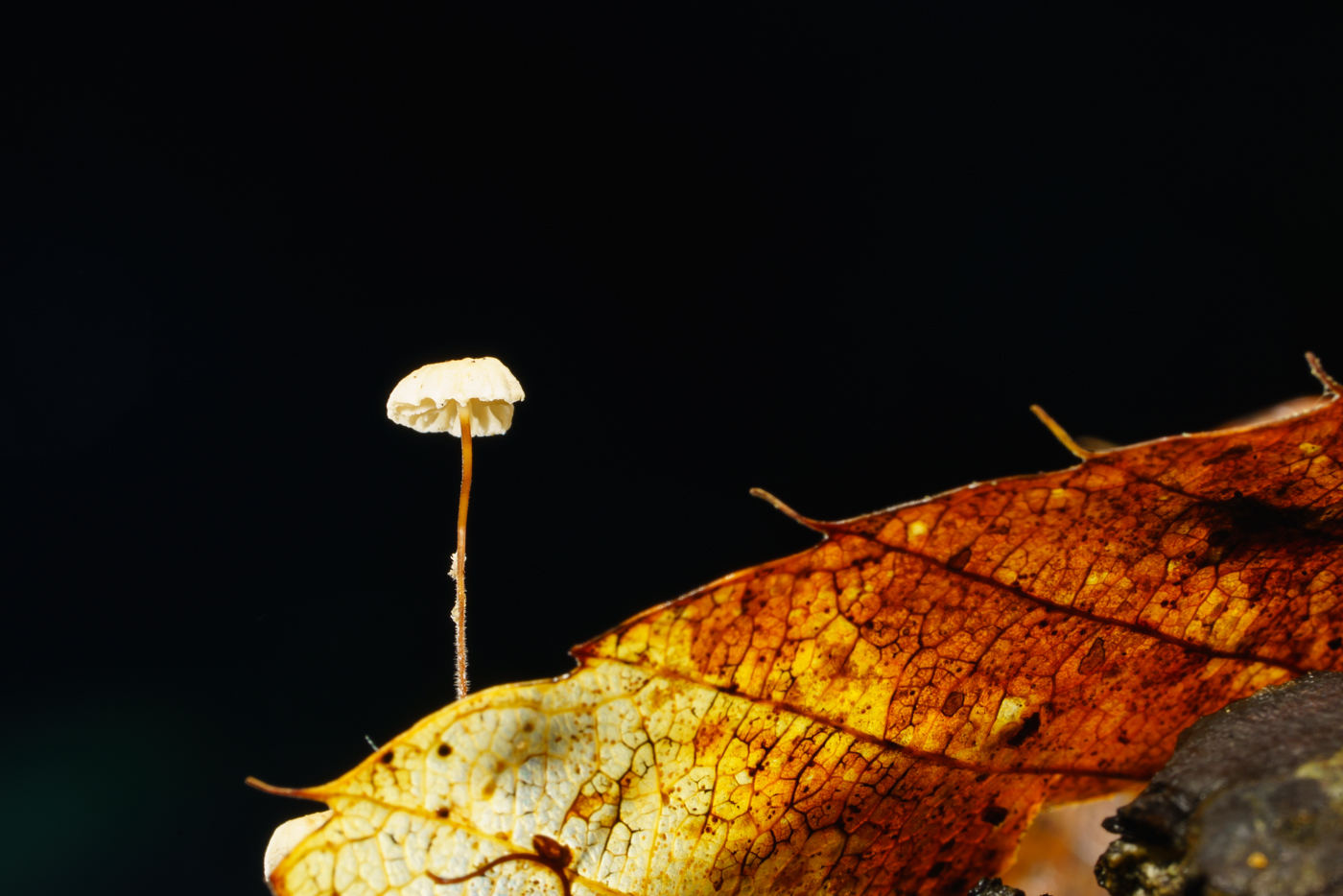 YDY02621.jpg
