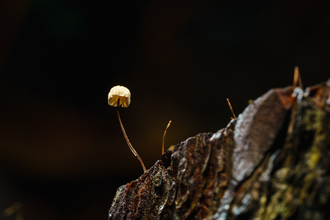 YDY02619.jpg