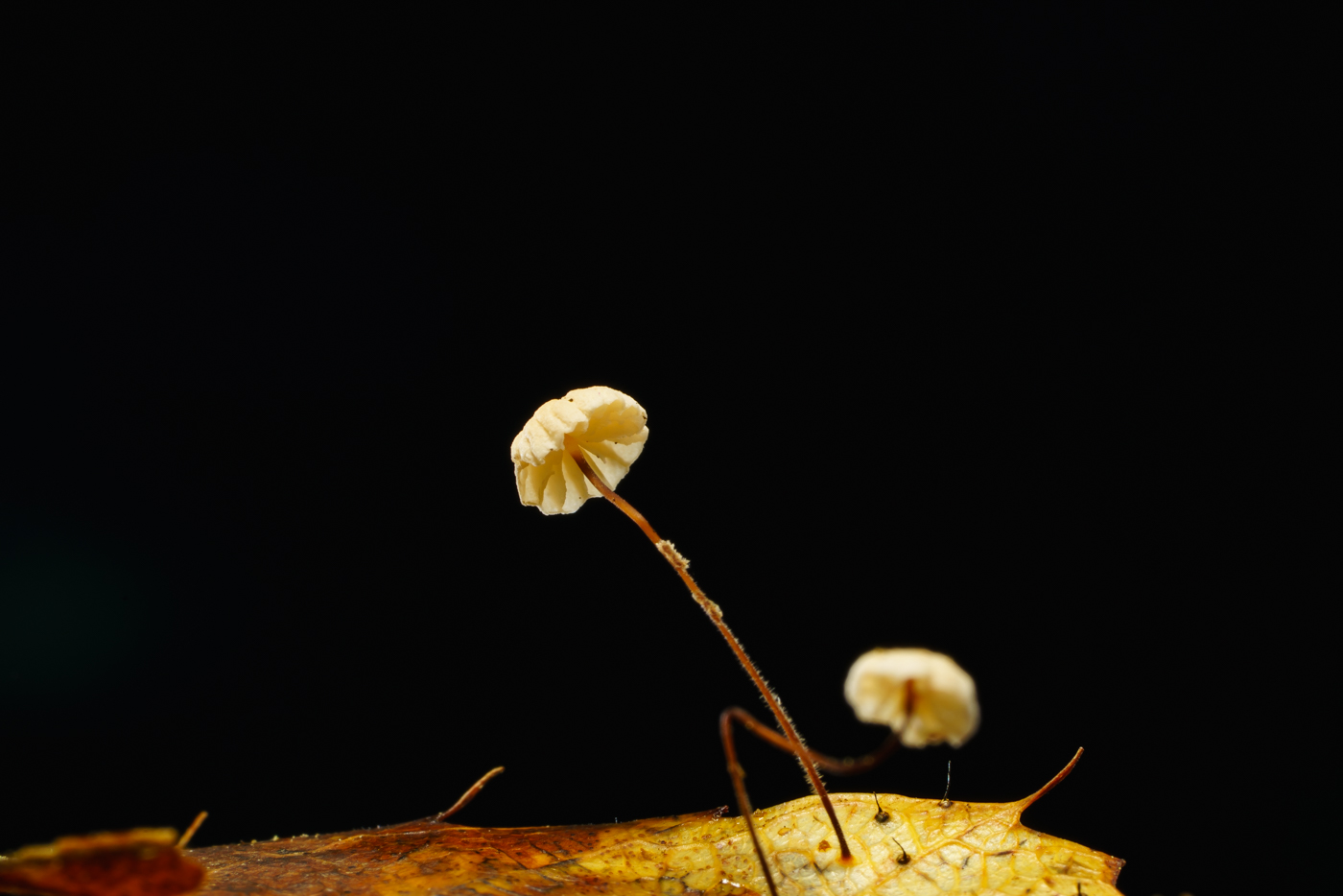 YDY02624.jpg