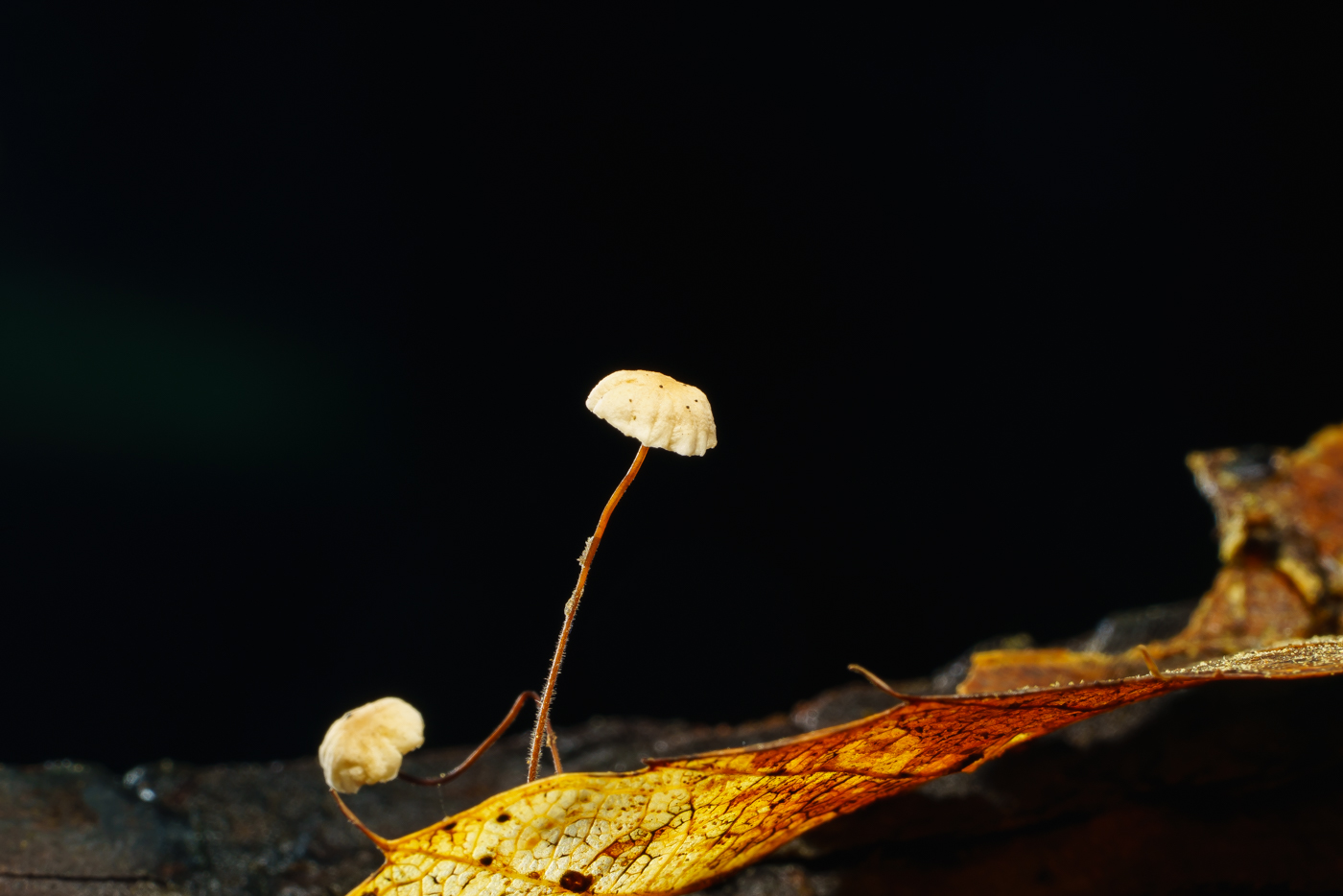 YDY02626.jpg