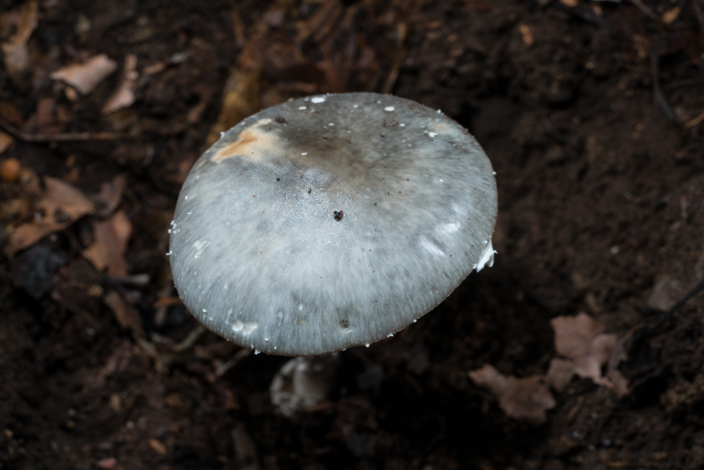 YDY04404.jpg
