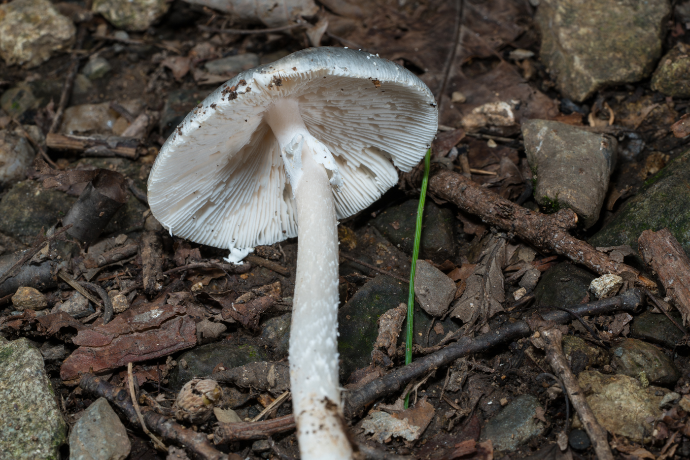 YDY04418.jpg