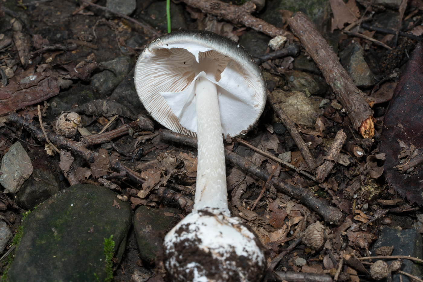 YDY04416.jpg