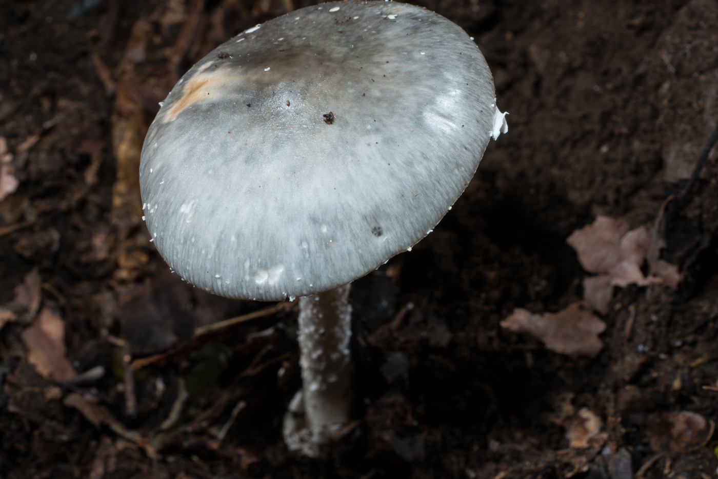 YDY04406.jpg