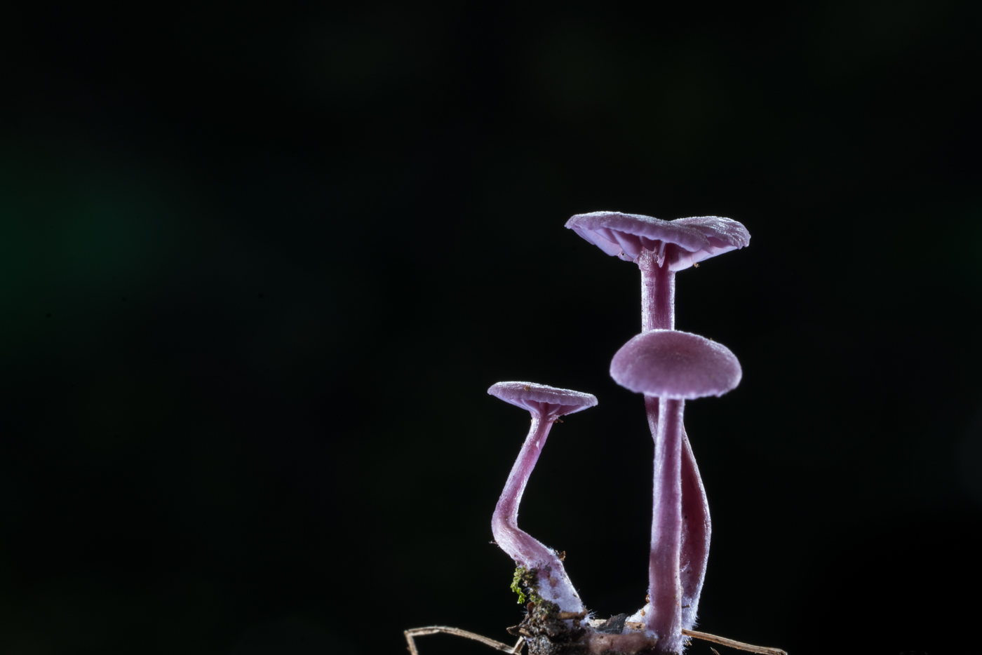 YDY05671.jpg