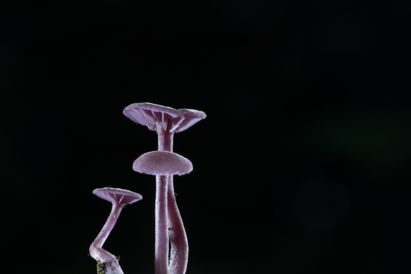 YDY05677.jpg