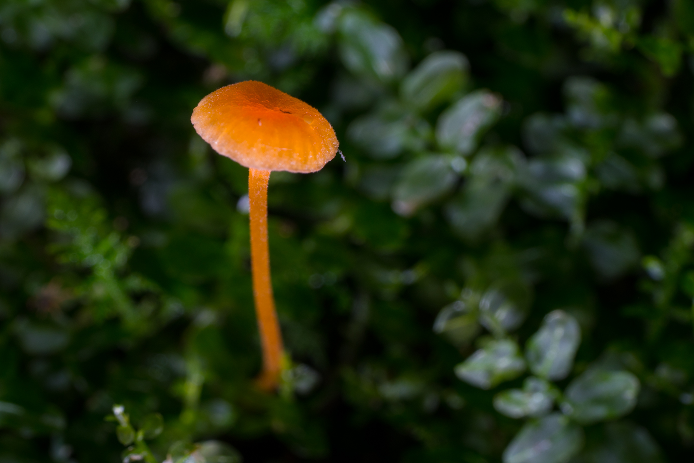 DSC04640.jpg