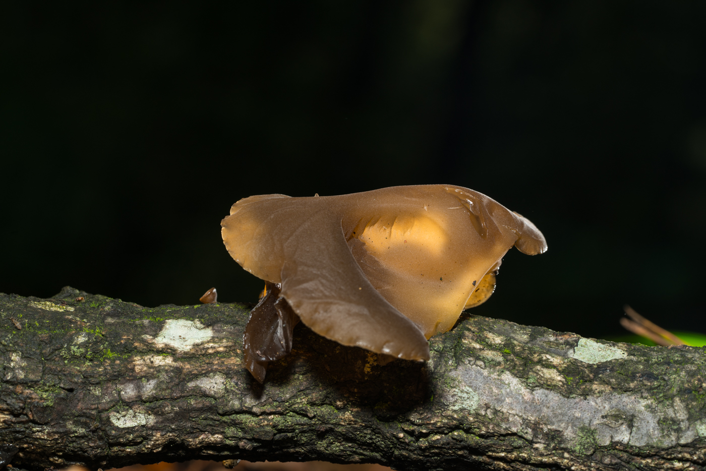 YDY02545.jpg