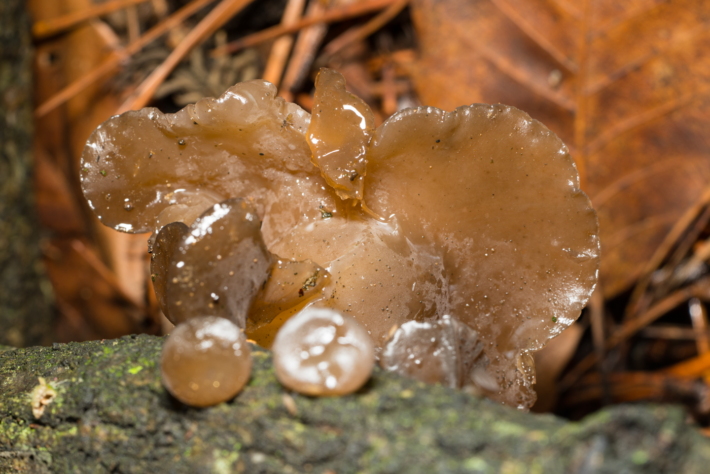 YDY02551.jpg