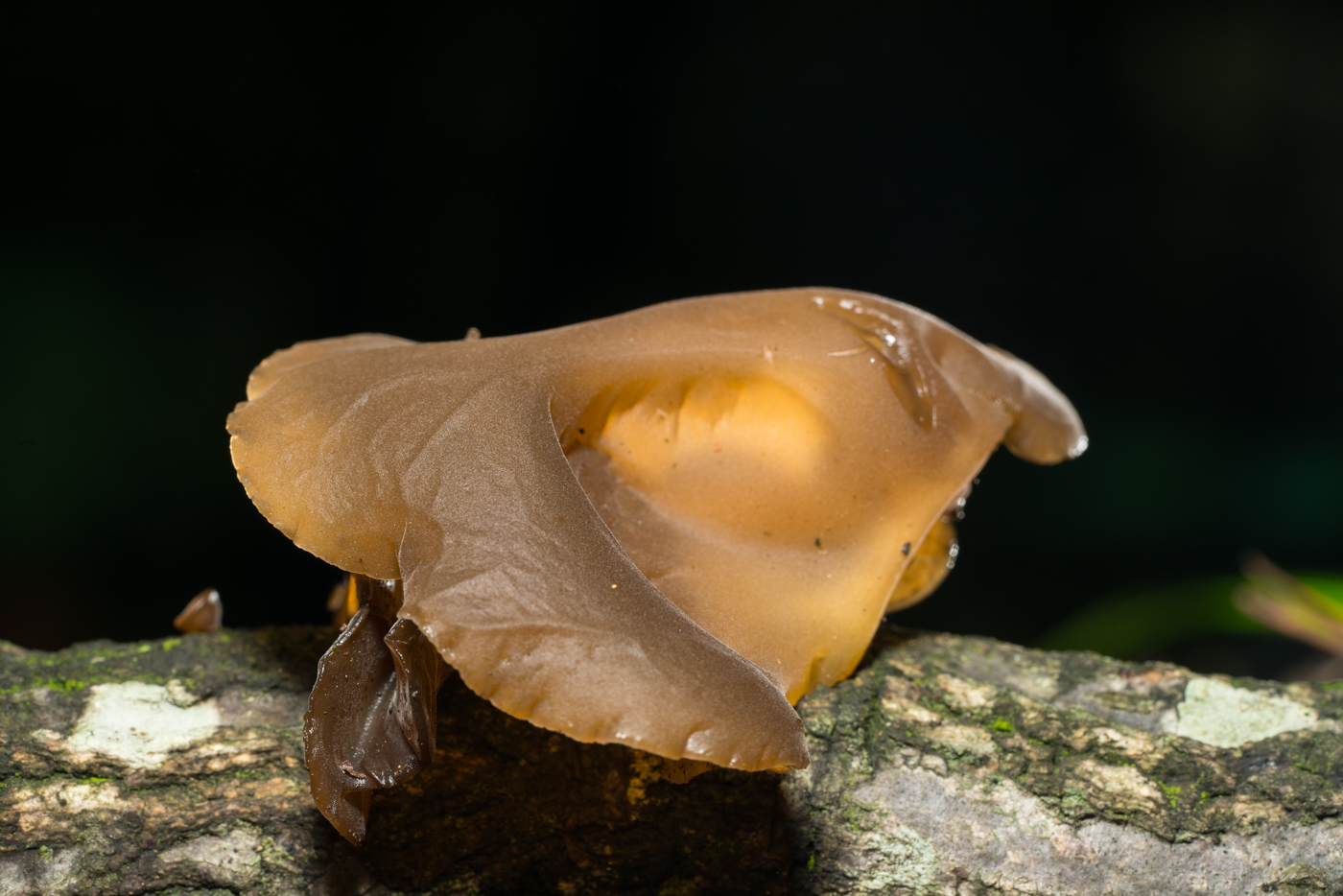 YDY02543.jpg