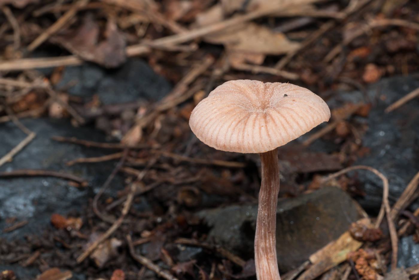 YDY05528.jpg