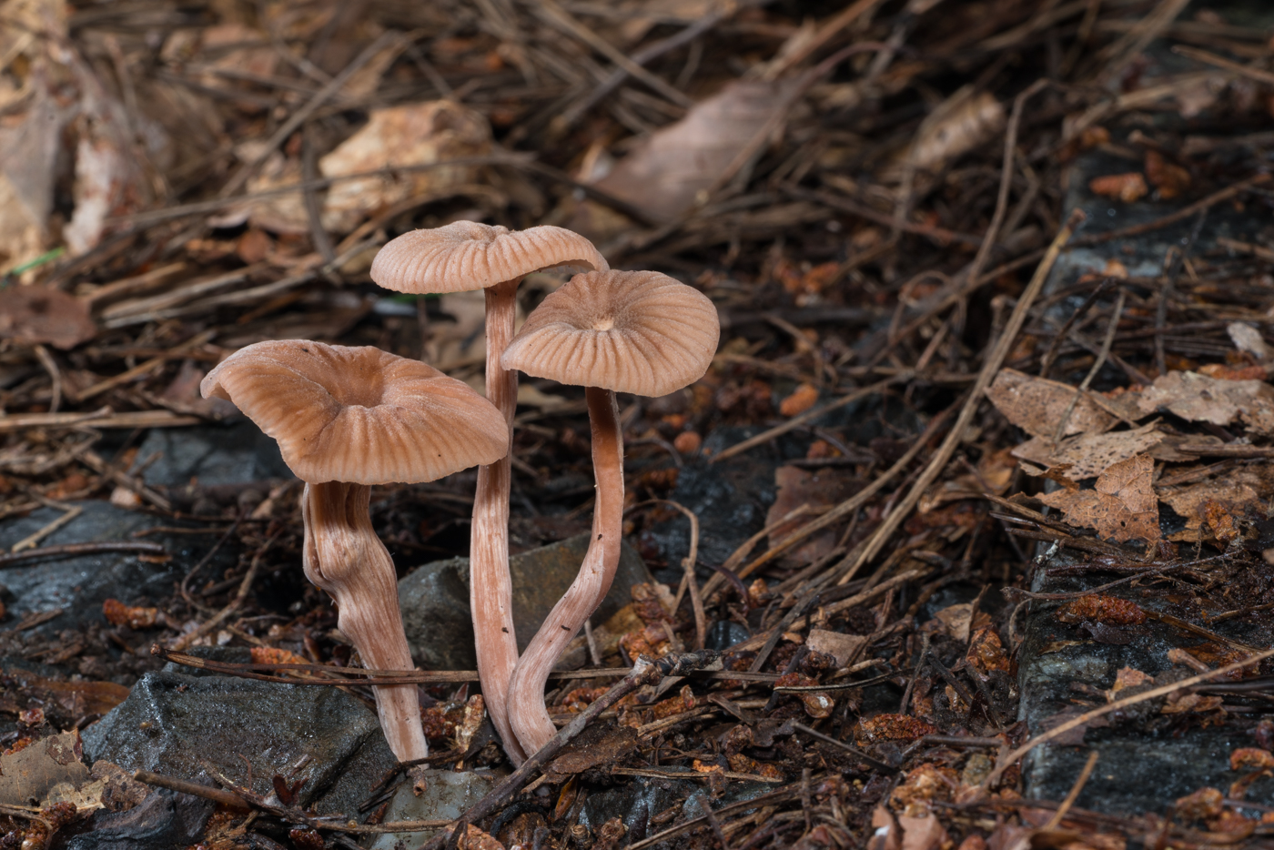 YDY05519.jpg