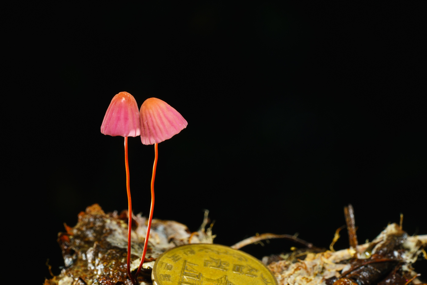YDY02617.jpg