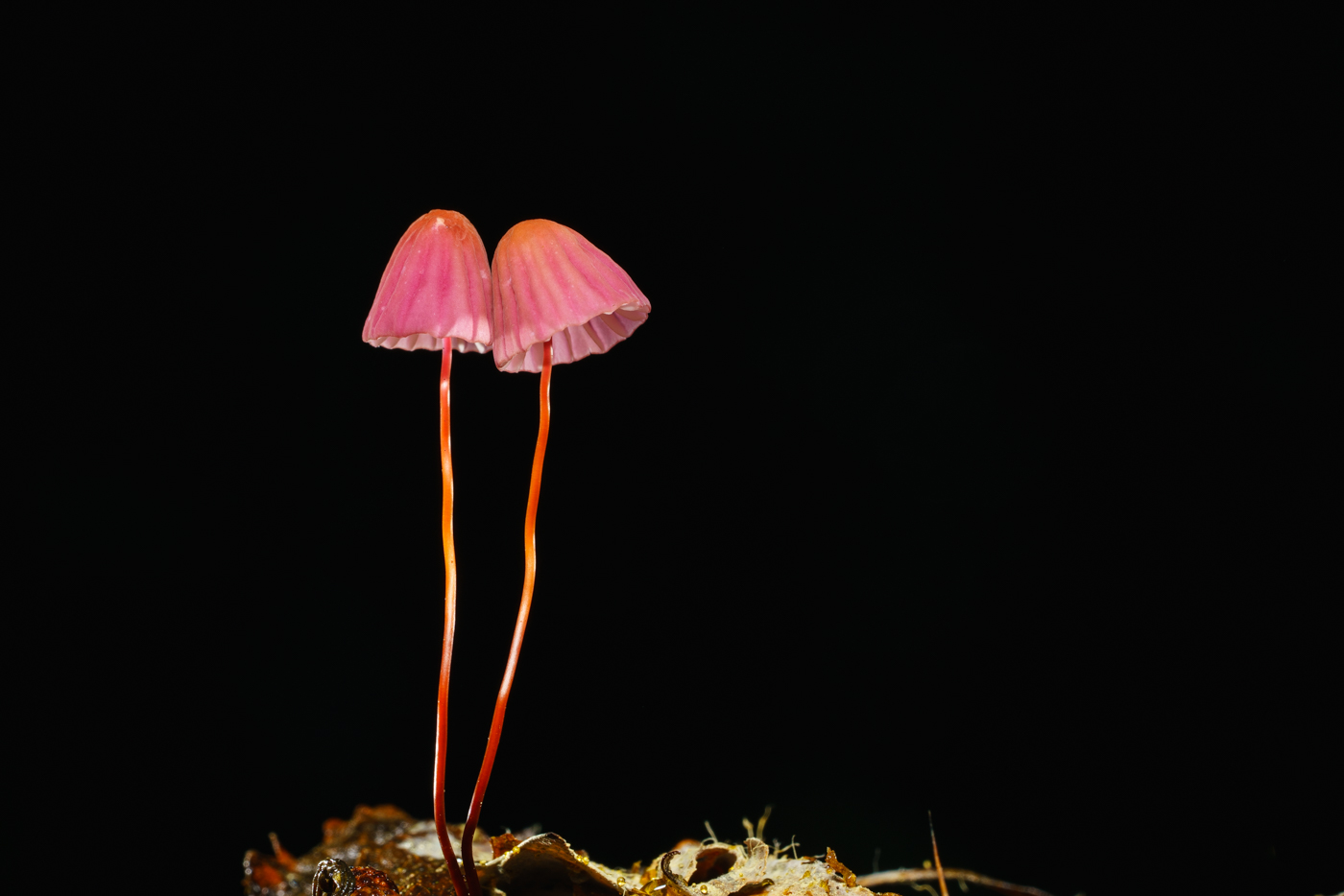 YDY02609.jpg