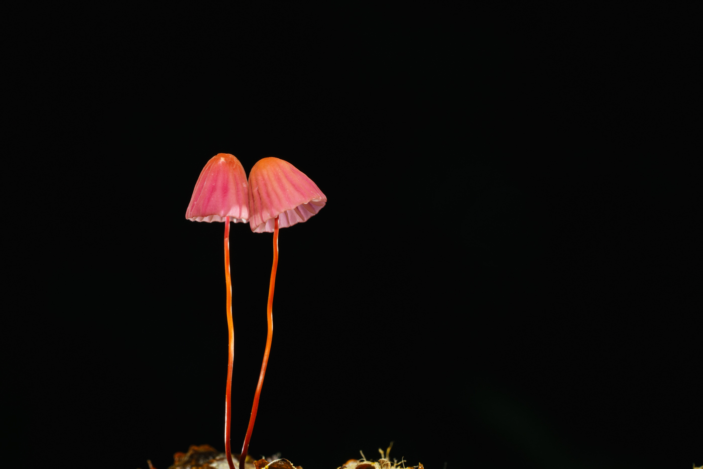 YDY02614.jpg