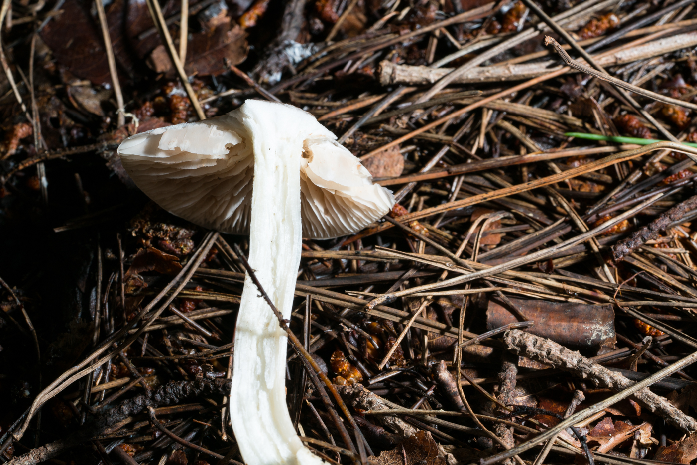YDY05549.jpg