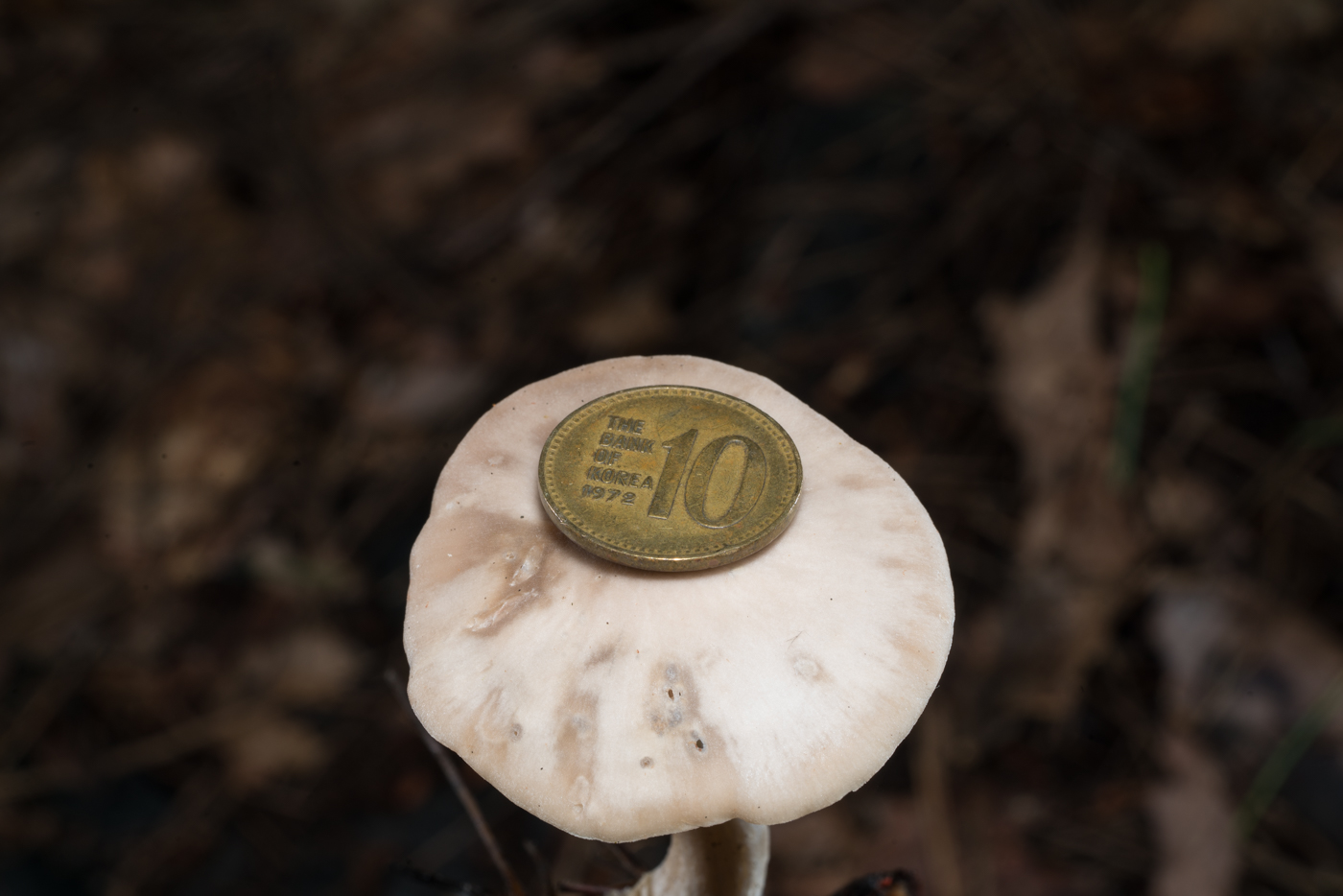 YDY05535.jpg