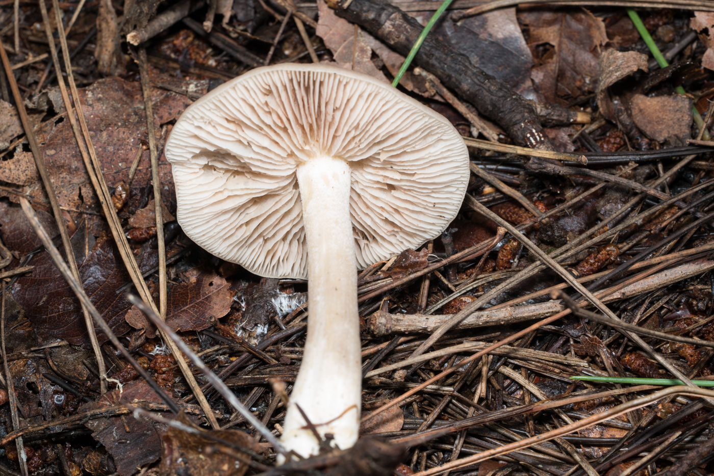 YDY05546.jpg