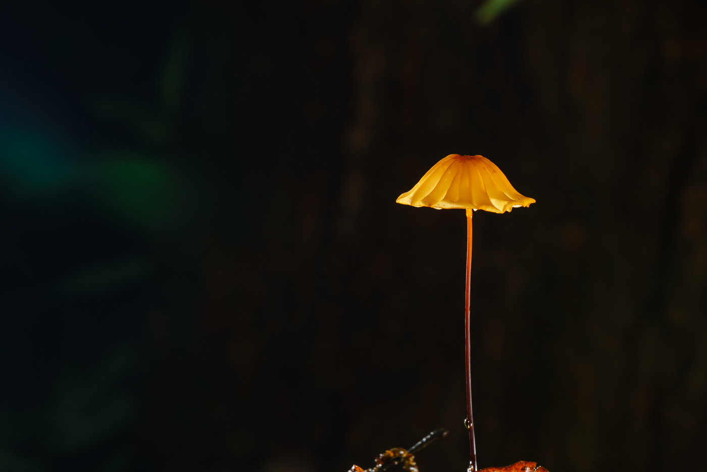 YDY02649.jpg