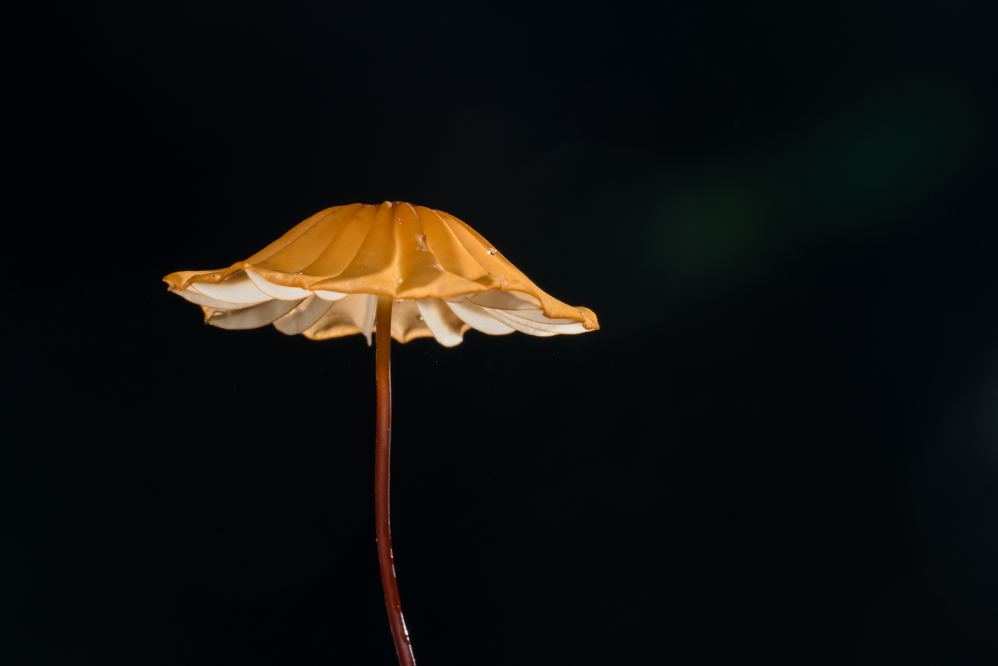 YDY02636.jpg