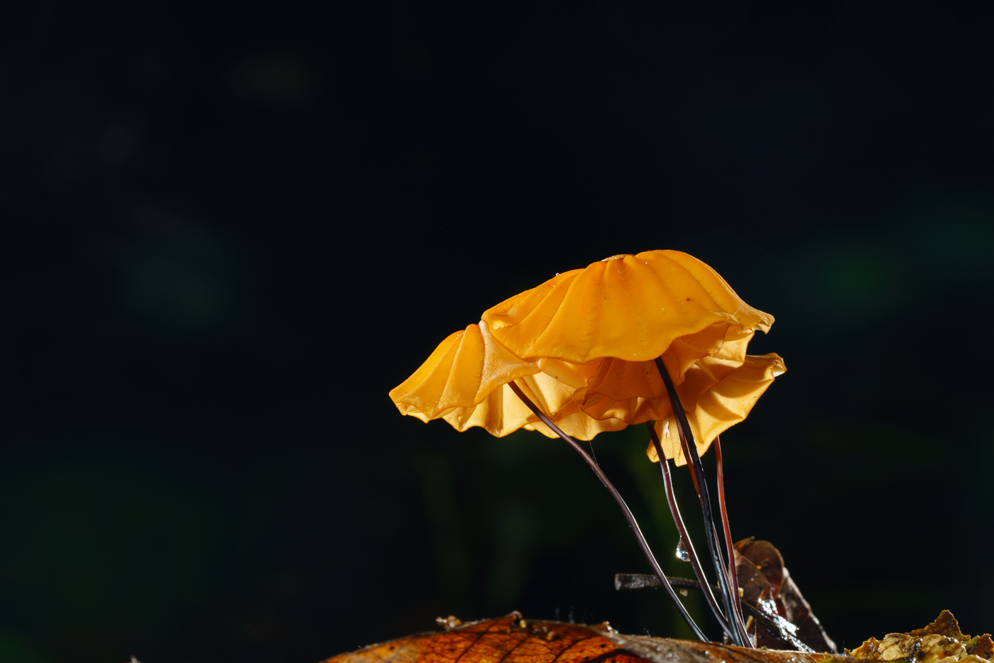 YDY02634.jpg