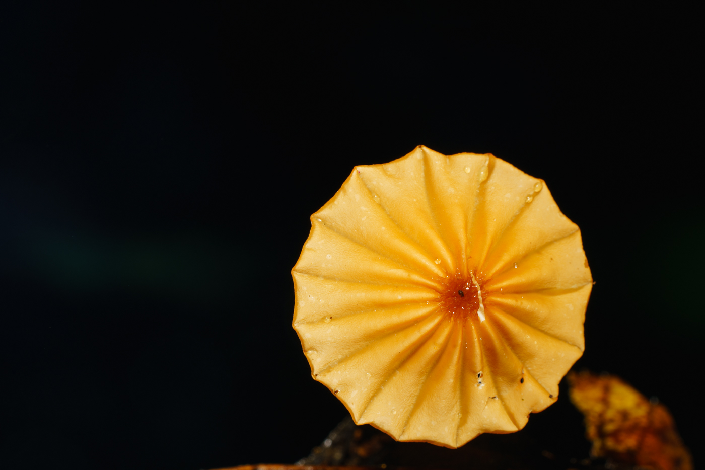 YDY02652.jpg