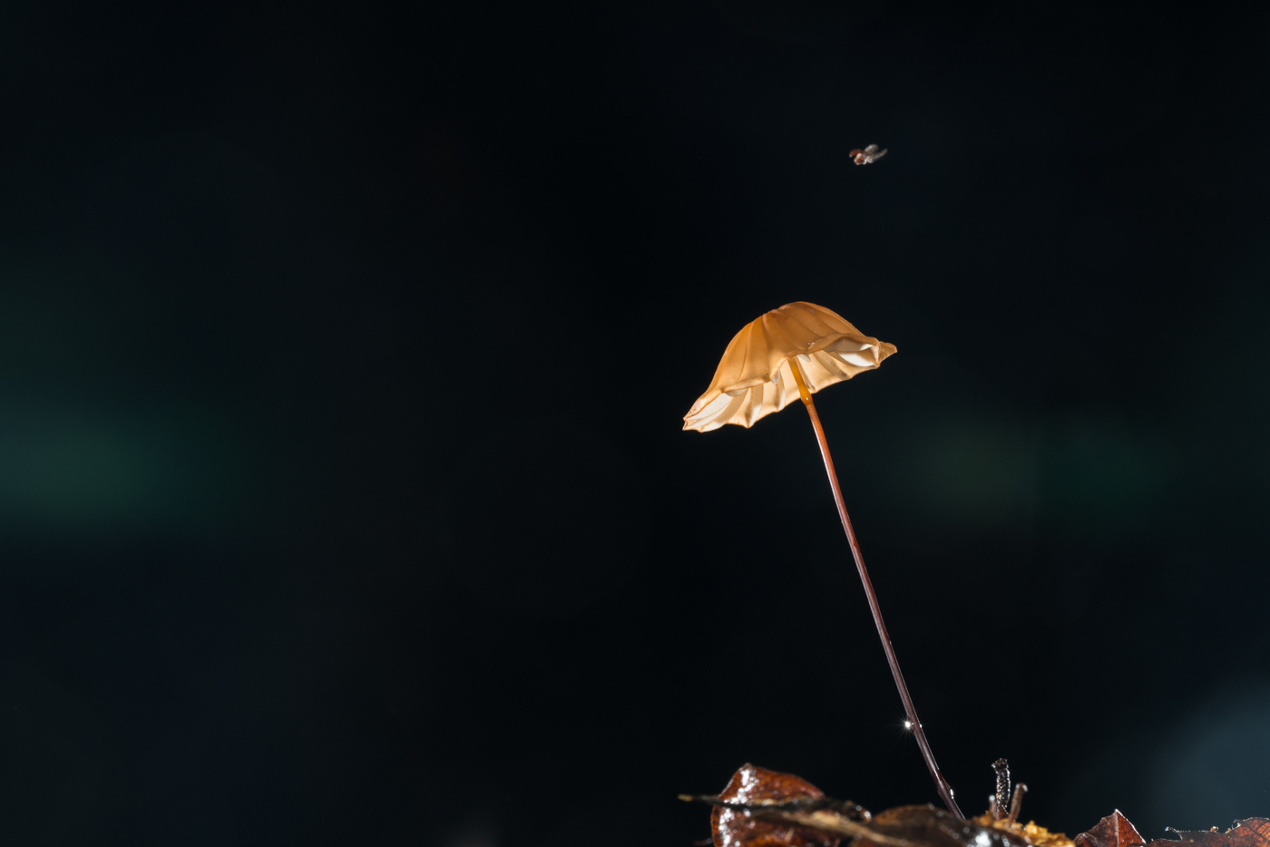 YDY02640.jpg