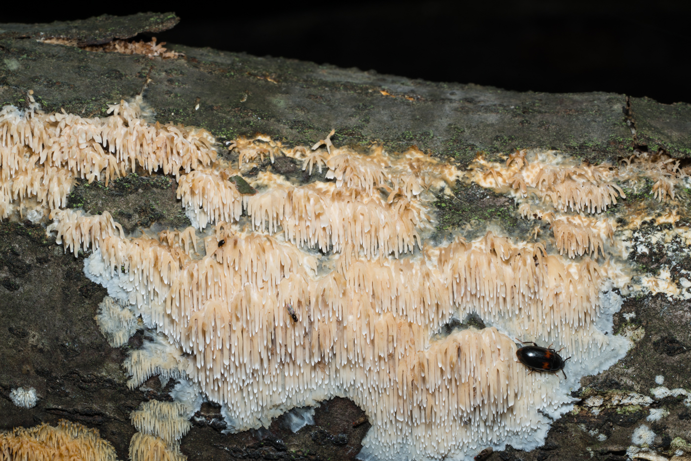 YDY05586.jpg