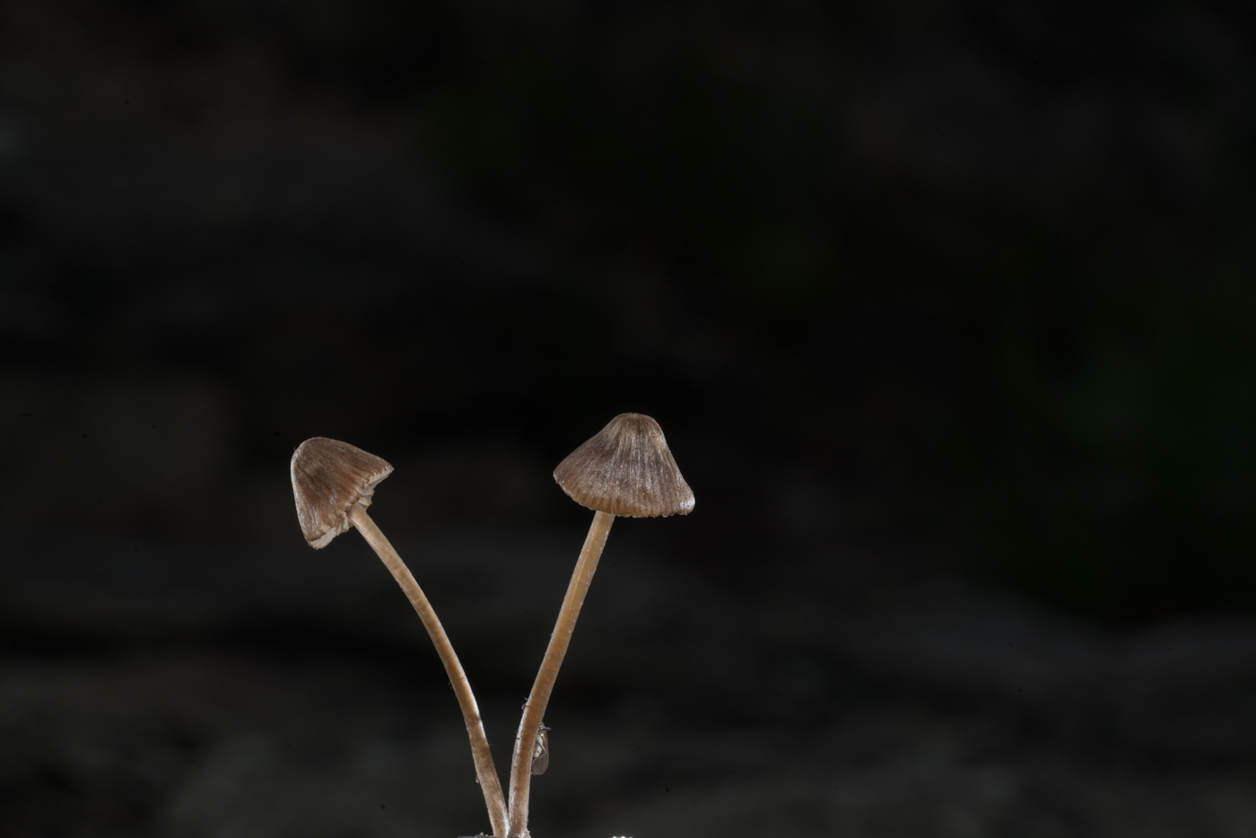 YDY05617.jpg