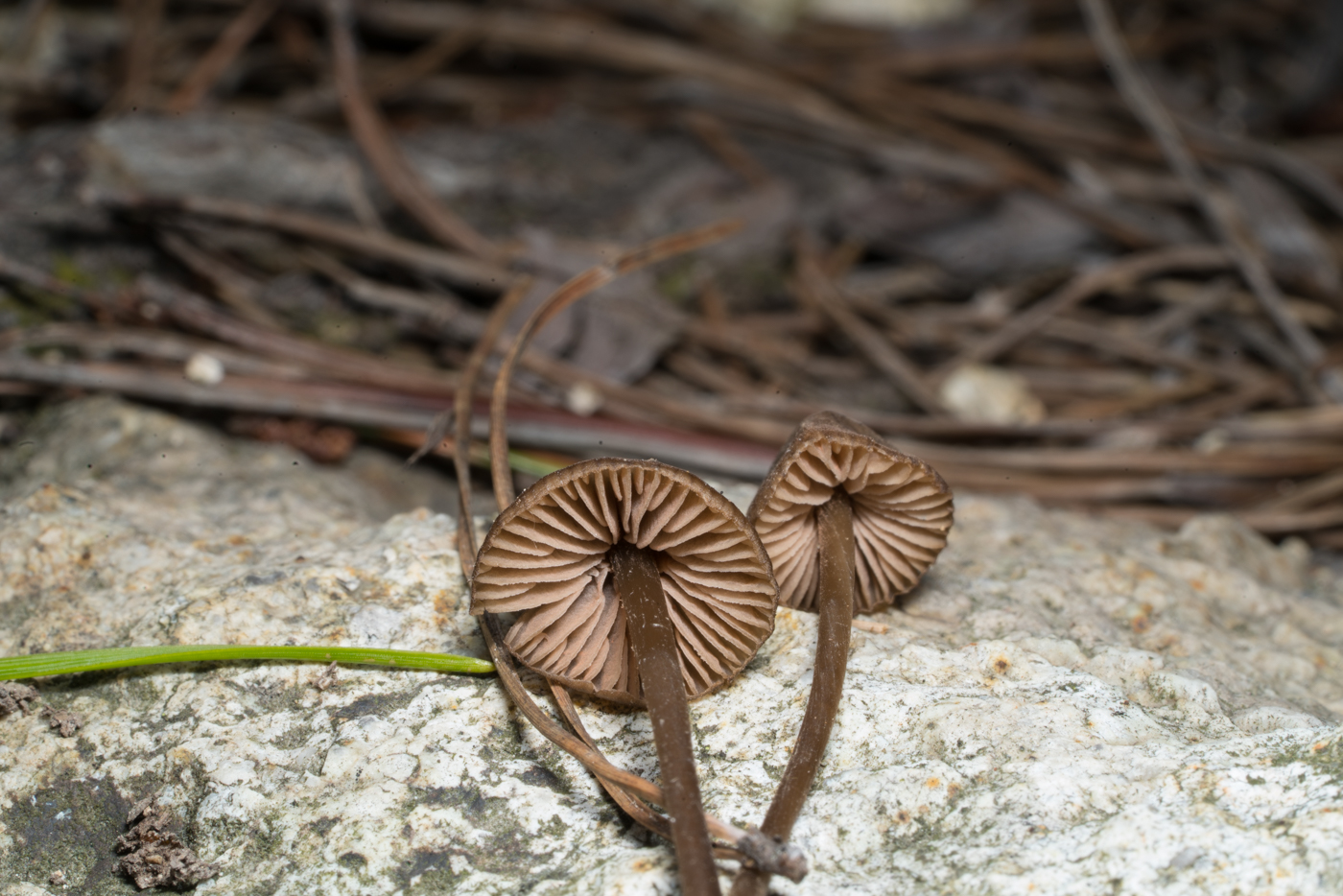 YDY05621.jpg