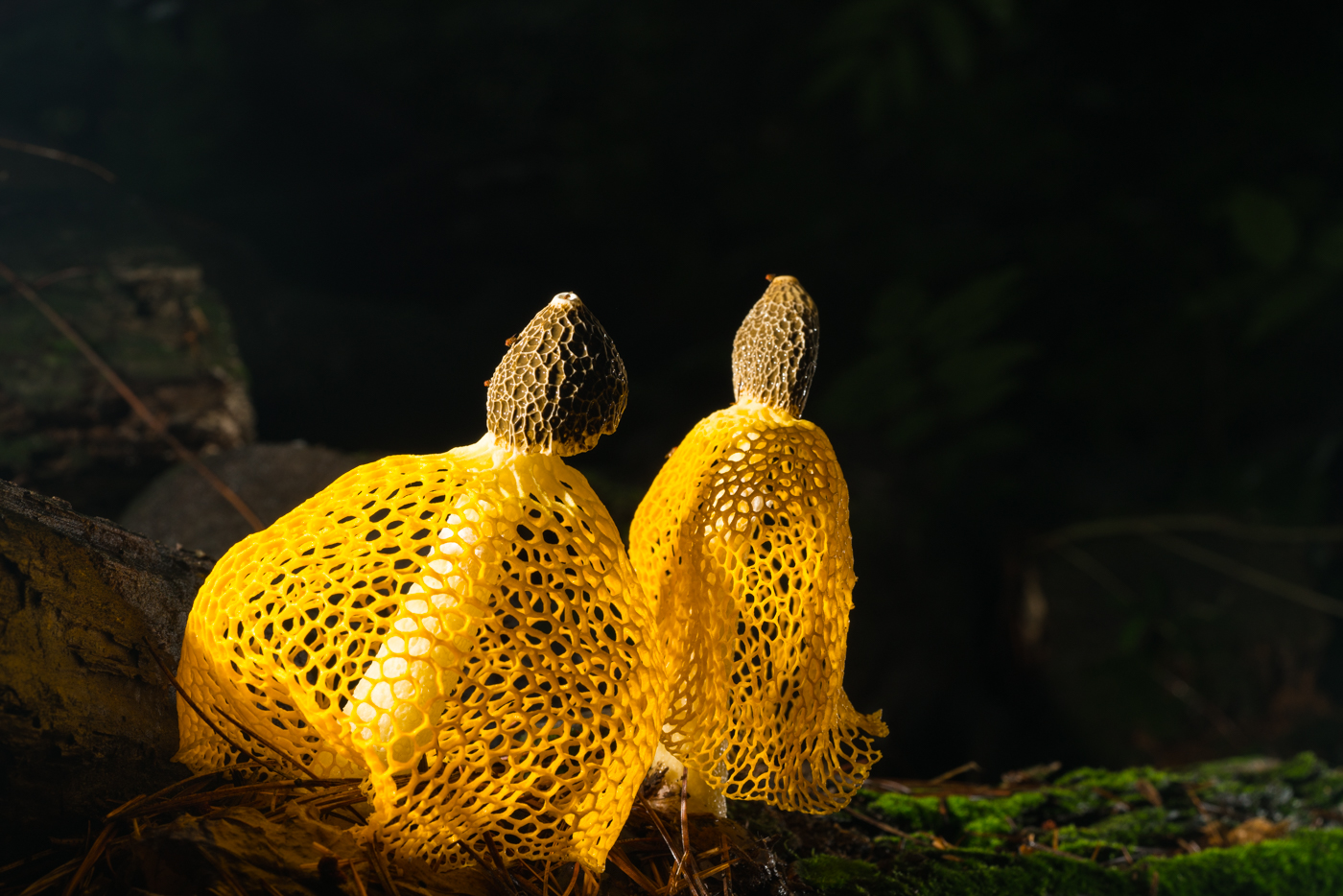 YDY02685.jpg