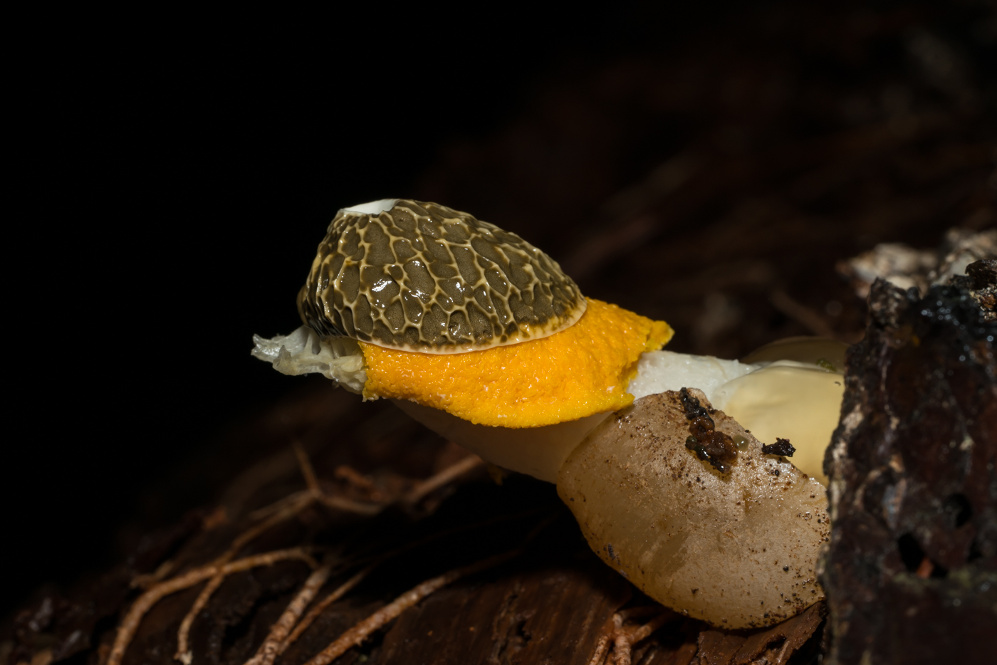 YDY02655.jpg