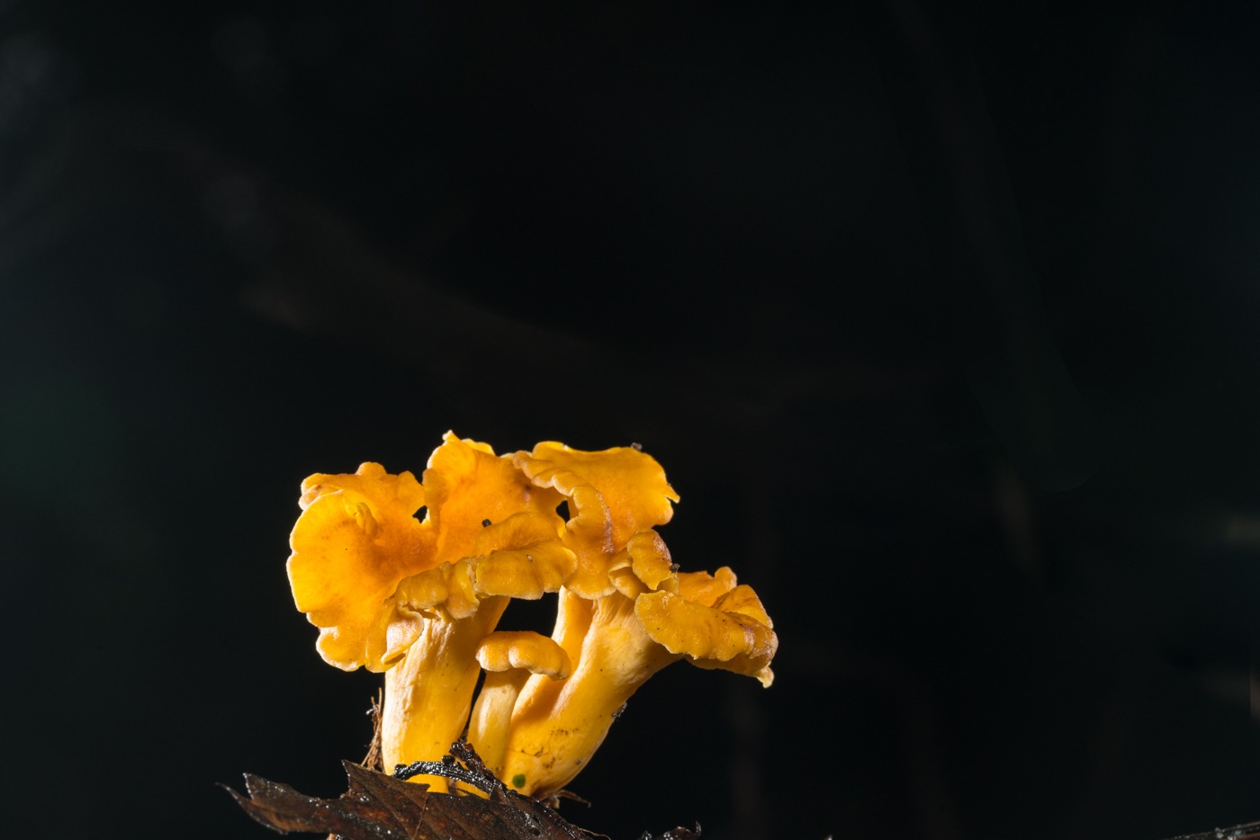 YDY02676.jpg