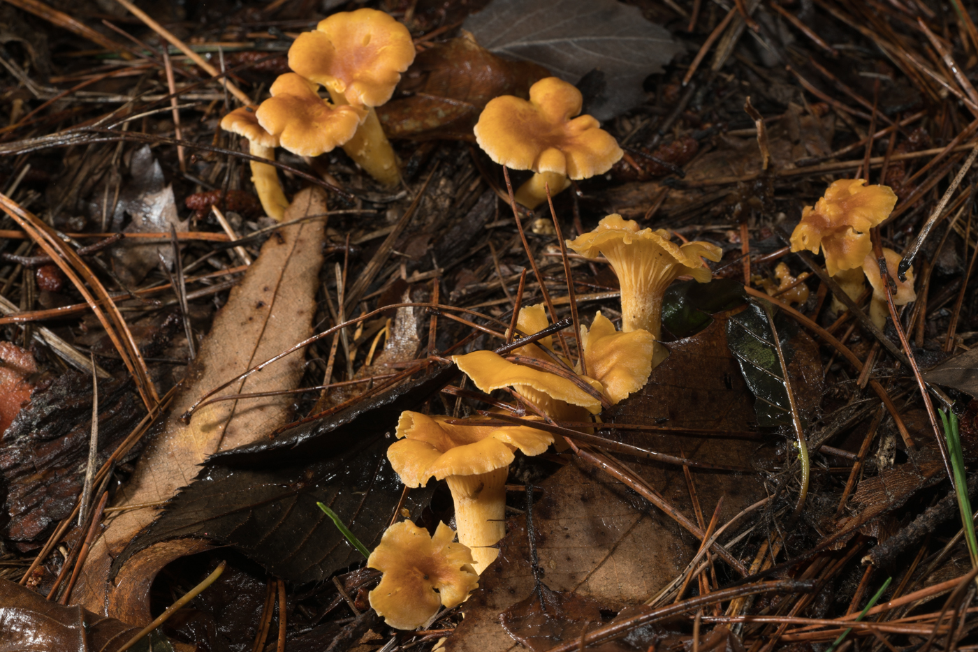 YDY02678.jpg