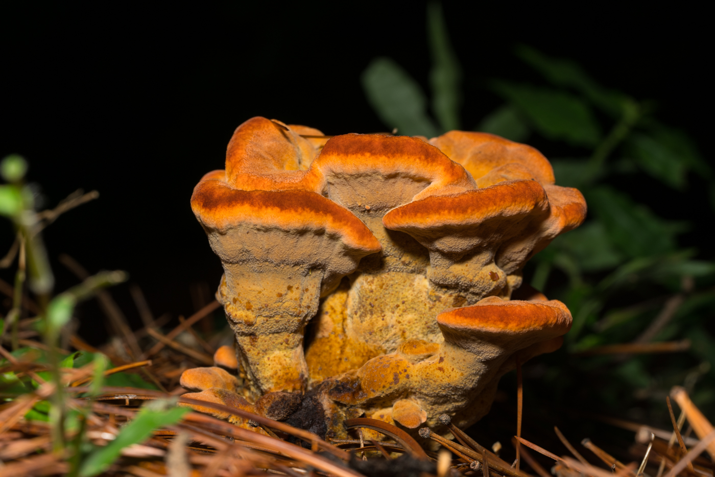 YDY02786.jpg