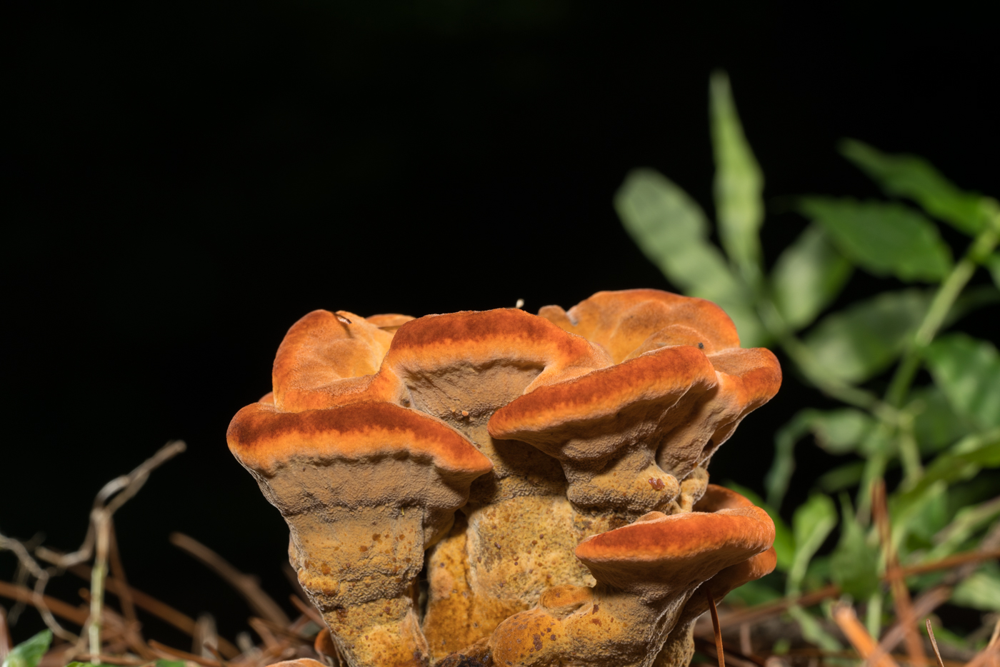 YDY02790.jpg