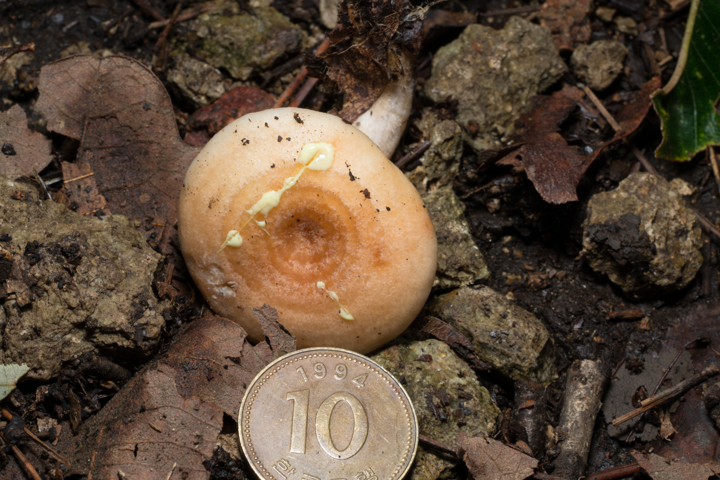YDY05824.jpg