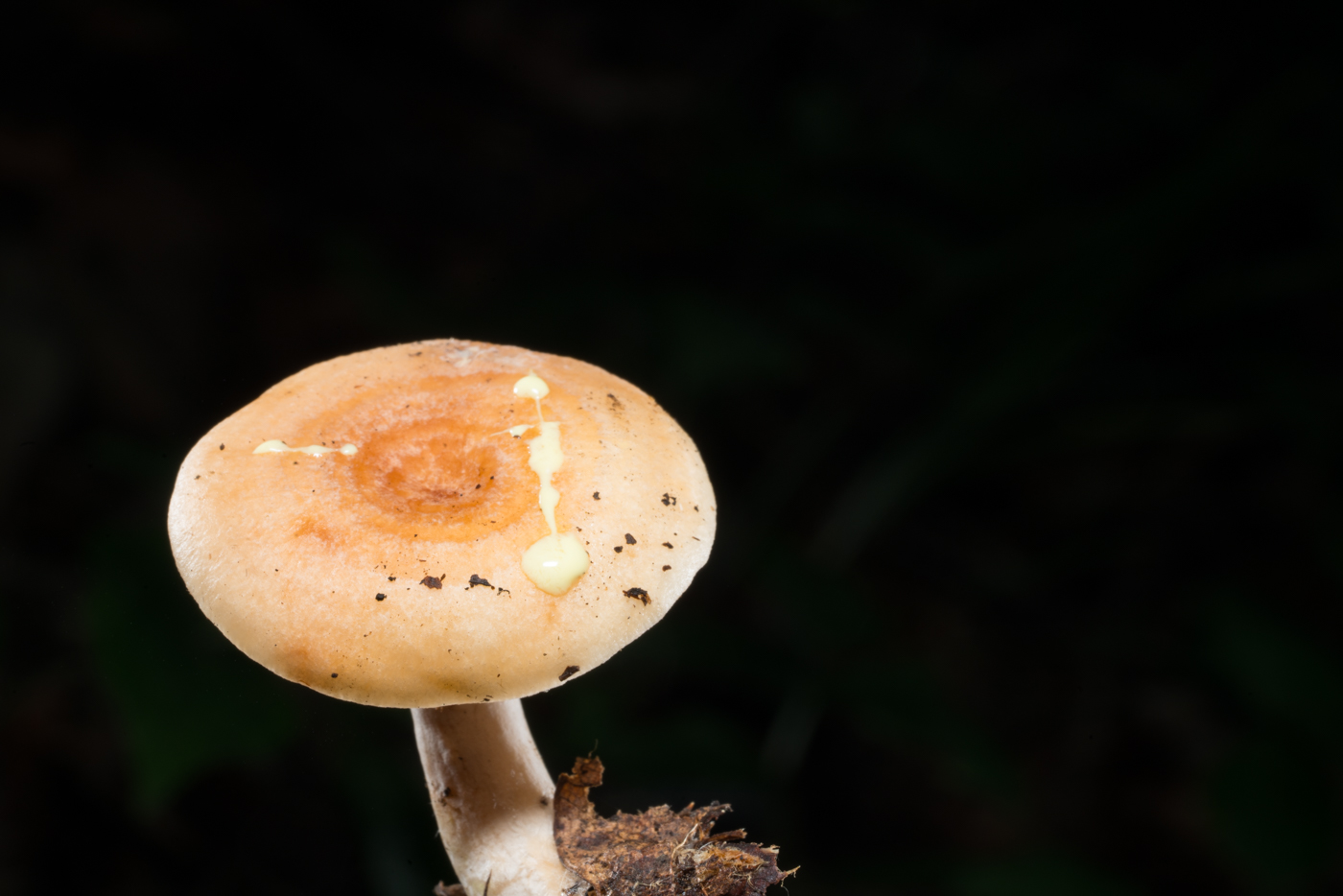 YDY05819.jpg
