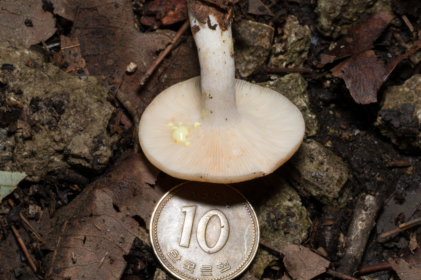 YDY05829.jpg