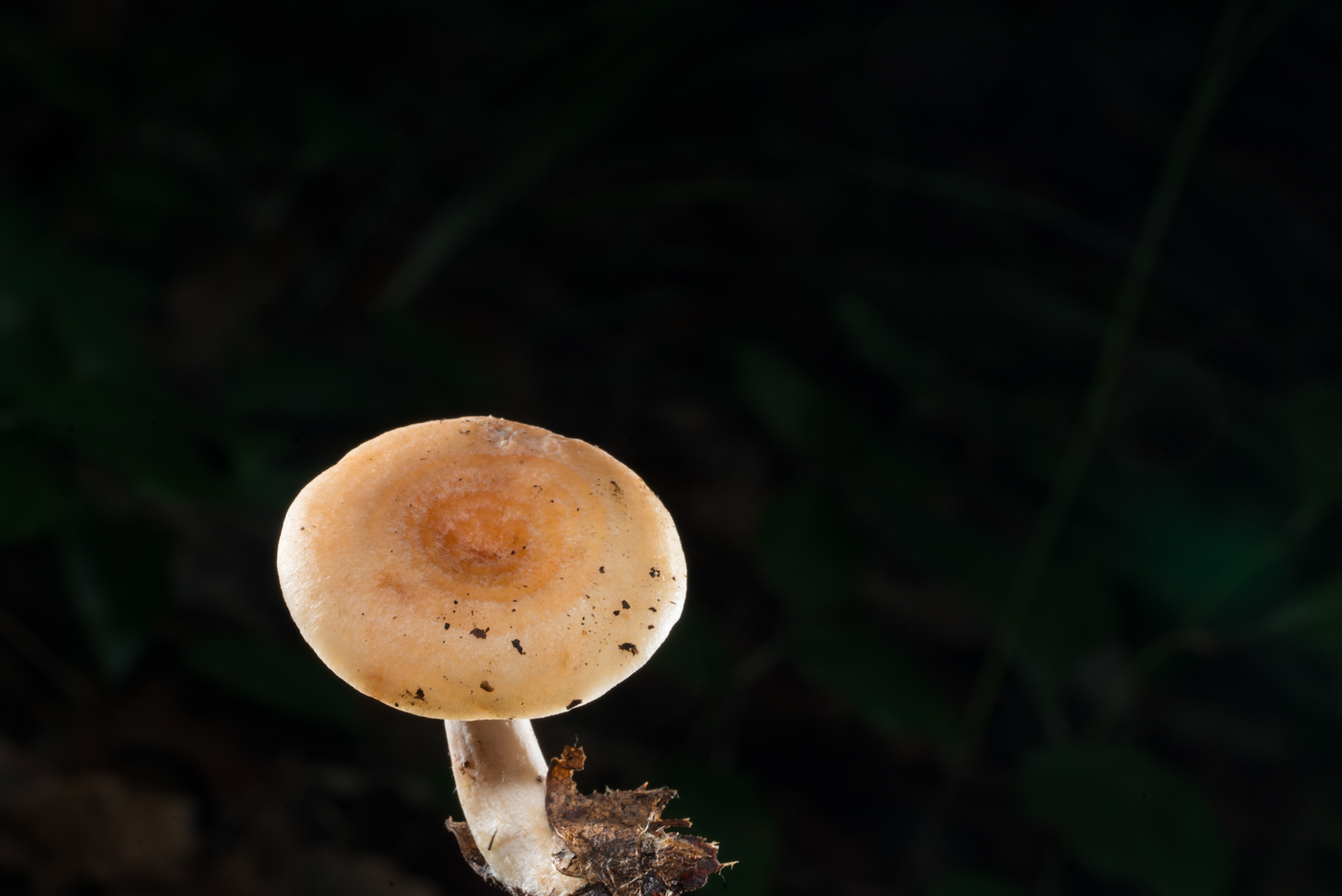 YDY05815.jpg