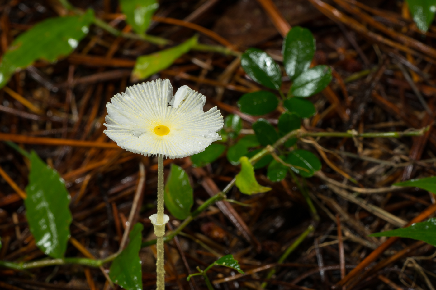 YDY02723.jpg