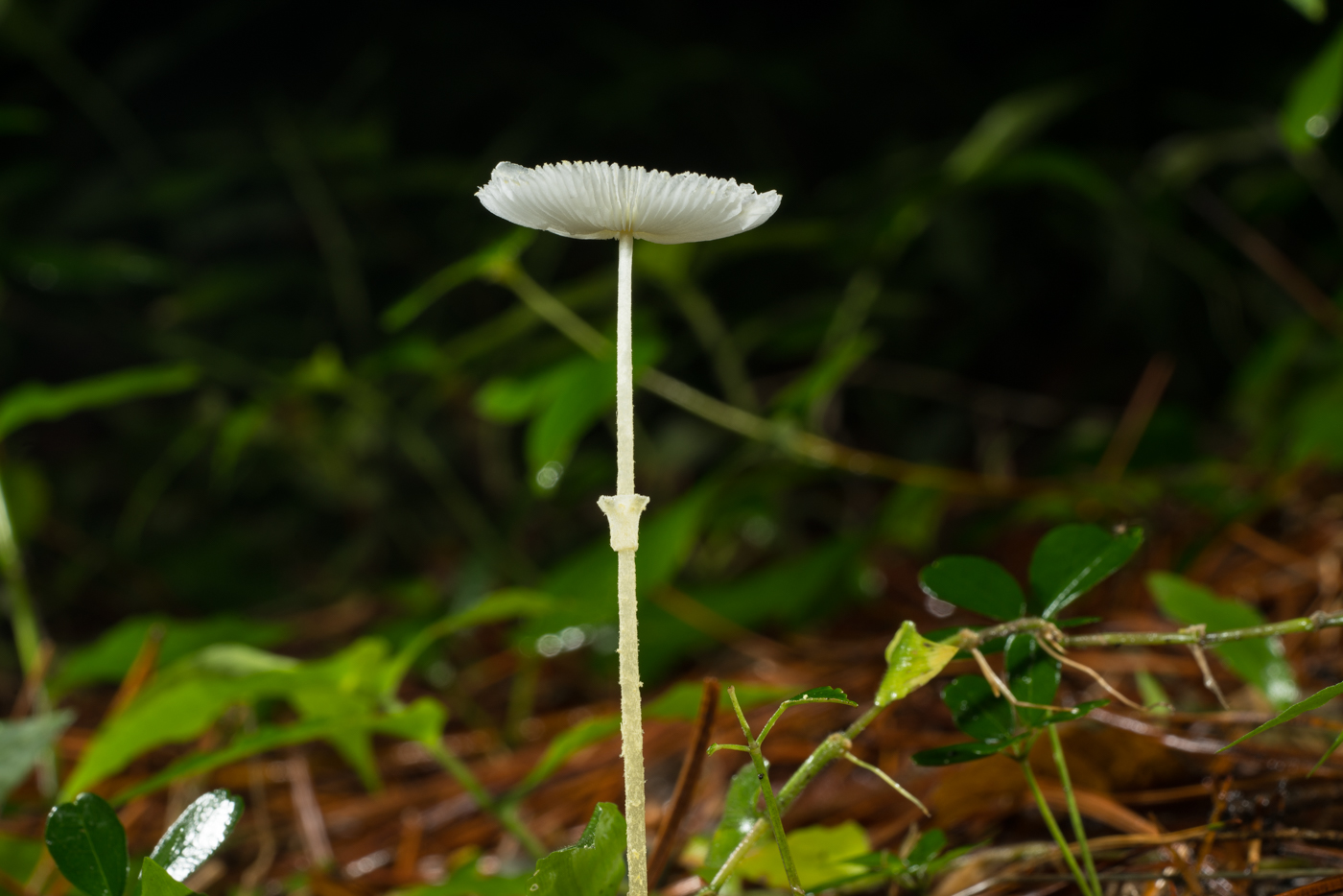 YDY02724.jpg