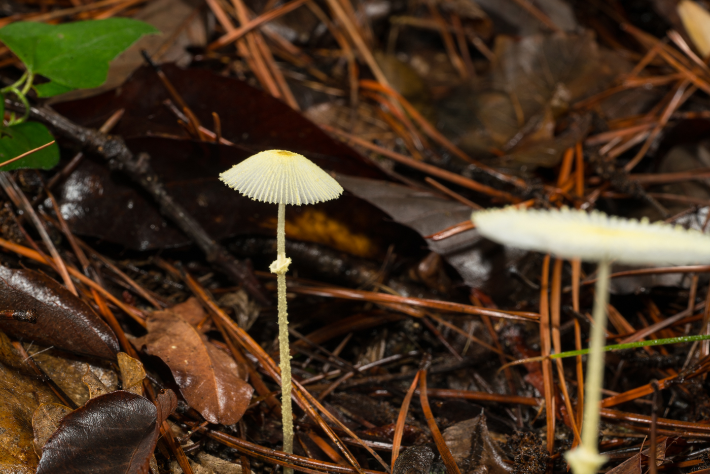 YDY02761.jpg