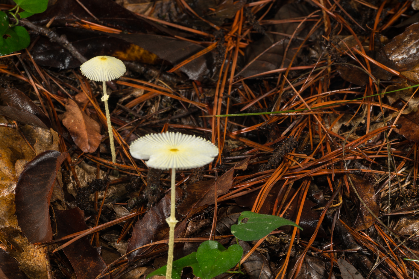 YDY02758.jpg